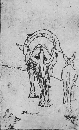 Офорт Fattori - Due somarelli