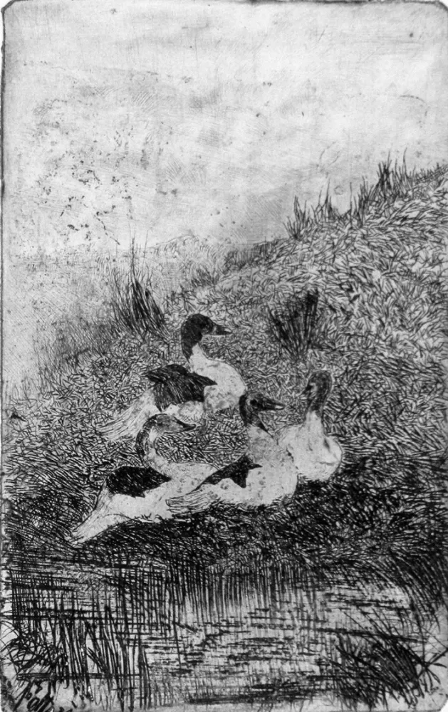 Офорт Fattori - Le anatre