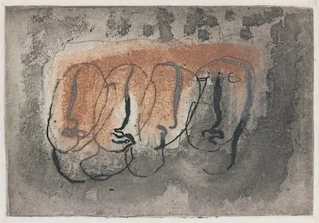 Иллюстрированная Книга Fautrier - Orenoque