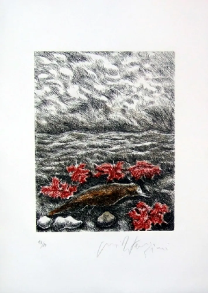 Иллюстрированная Книга Fazzini - Gabbiani