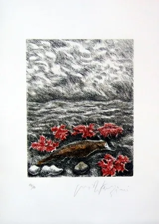 Иллюстрированная Книга Fazzini - Gabbiani