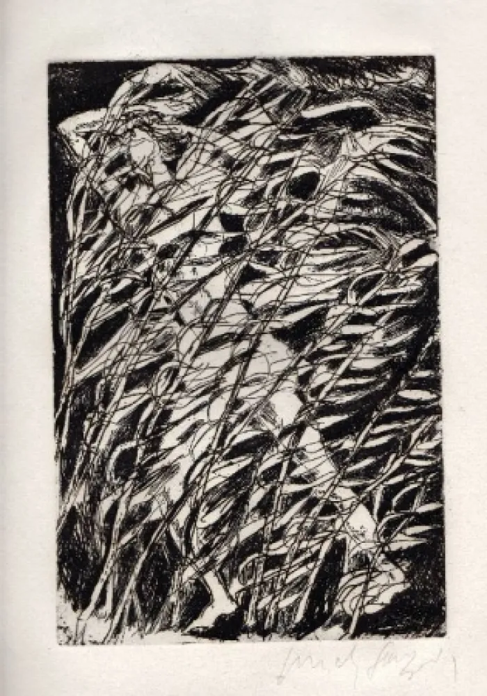 Иллюстрированная Книга Fazzini - Inni