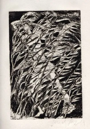 Иллюстрированная Книга Fazzini - Inni