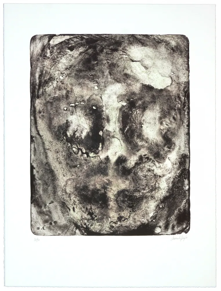 Литография Ferré - 15