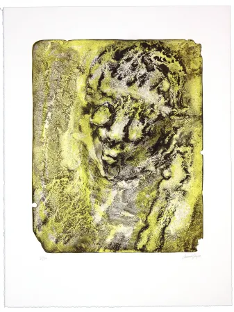 Литография Ferré - 20