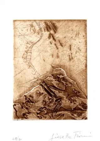 Иллюстрированная Книга Fioroni - Il titolo