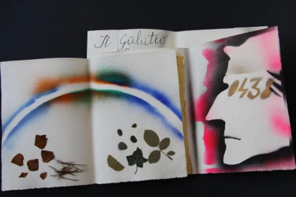 Иллюстрированная Книга Fioroni - Sonetto di veti e iridi