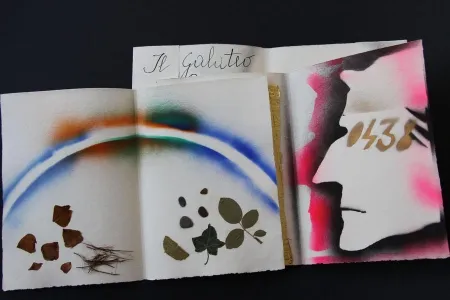 Иллюстрированная Книга Fioroni - Sonetto di veti e iridi