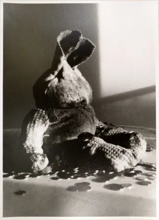 Фотографии Fischli - Lumpentiti / Rag Doll (Geldsack)