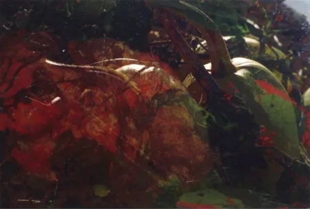 Фотографии Fischli - Ohne Titel (FW Funghi 19), 1998. Aus der Serie „Blumen und Pilze“.