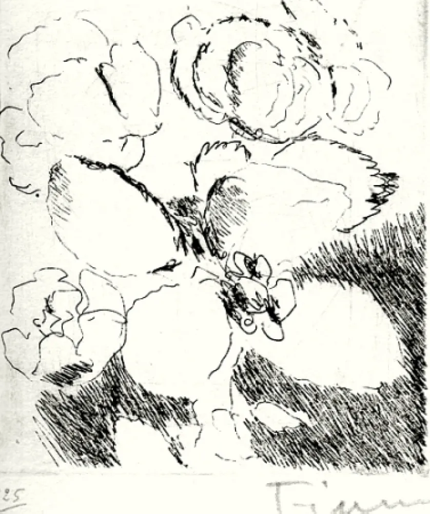 Иллюстрированная Книга Fiume - Dietro le carte