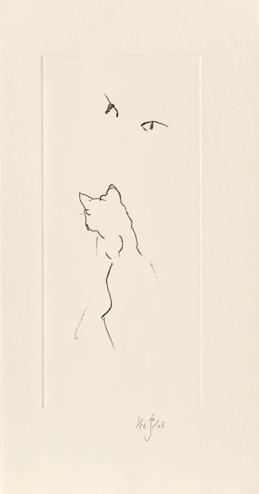 Гравюра Flanagan - Panda