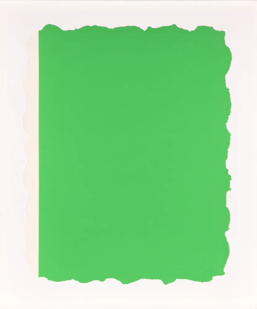Акватинта Flavin - Untitled, from Sequences - Green