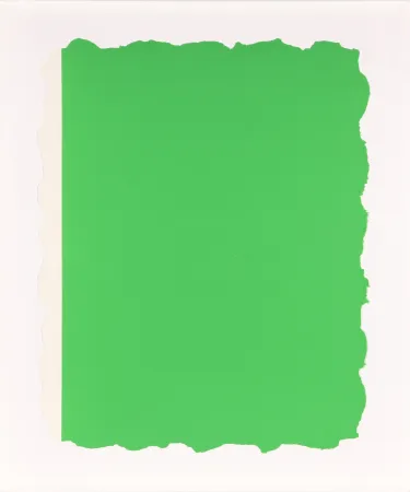 Акватинта Flavin - Untitled, from Sequences - Green