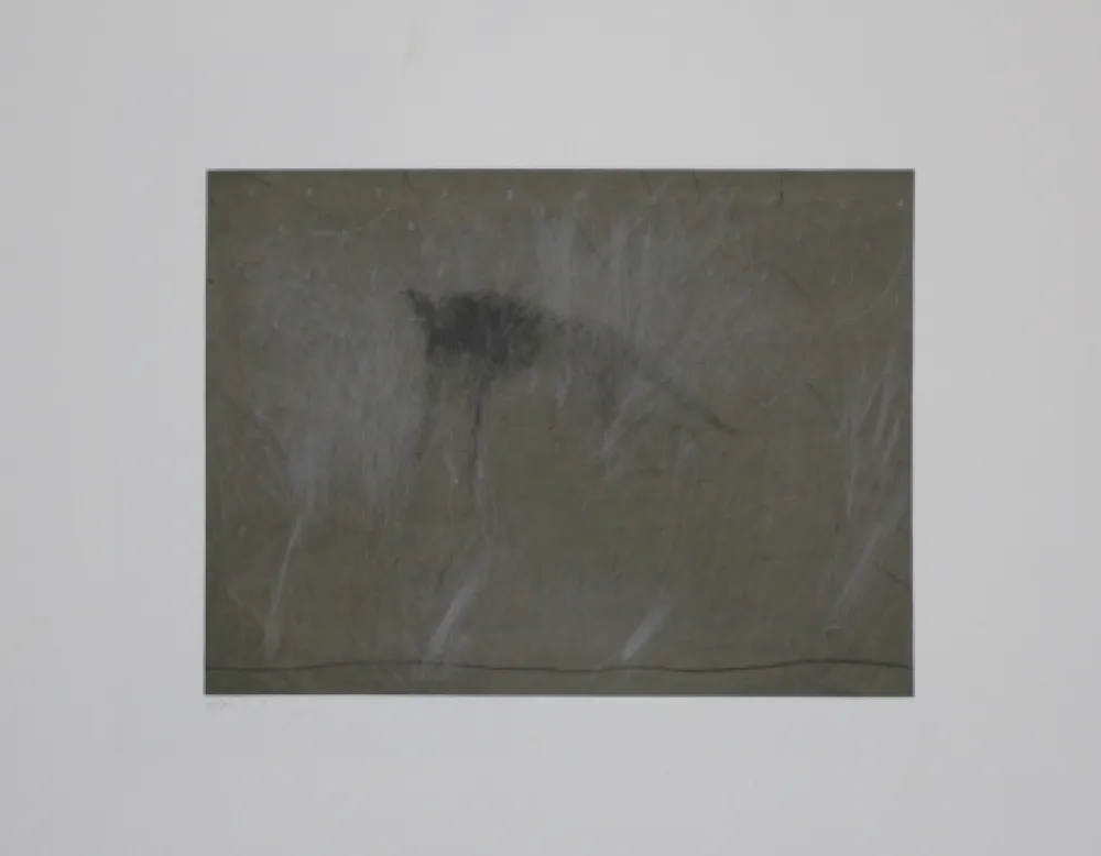 Гравюра Fleischmann - Beast