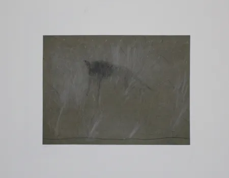 Гравюра Fleischmann - Beast