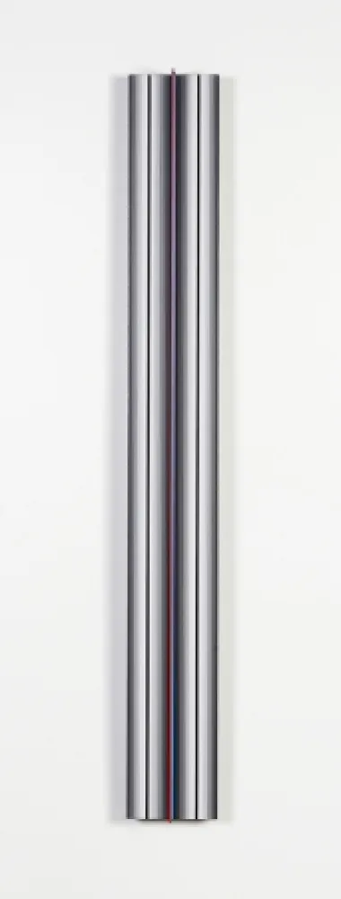 Многоэкземплярное Произведение Flores - Prochromatique yc1