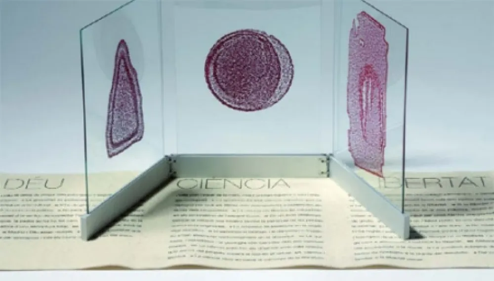 Иллюстрированная Книга Fontcuberta - Deu, ciència i llibertat