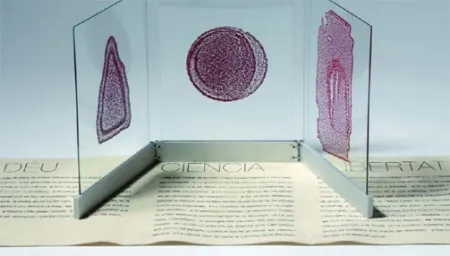 Иллюстрированная Книга Fontcuberta - Deu, ciència i llibertat