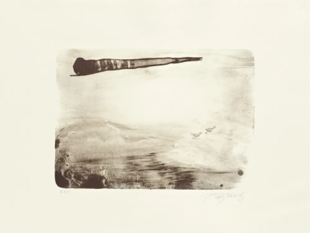 Литография Fontela - Palm