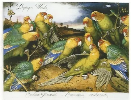 Многоэкземплярное Произведение Ford - Dying words