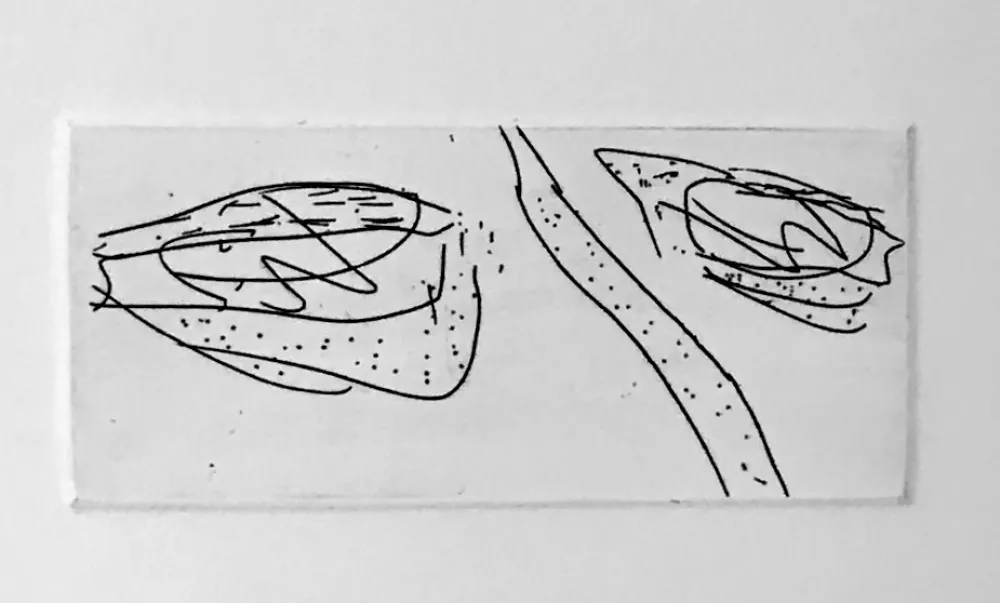 Акватинта Francis - Self Portrait