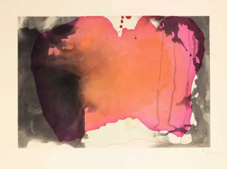 Гравюра Frankenthaler - Causeway