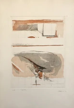 Офорт И Аквитанта Frattini - Dall'alto