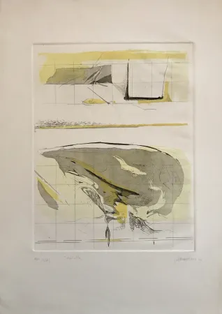 Офорт И Аквитанта Frattini - Dall'alto