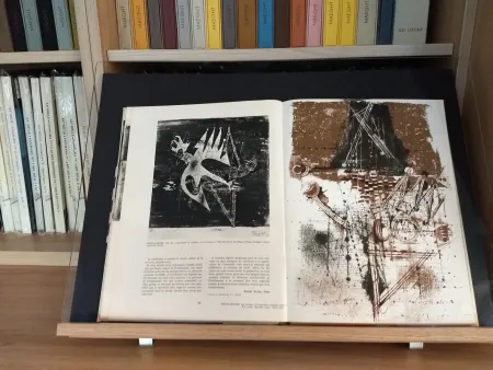 Иллюстрированная Книга Friedlaender - No 40