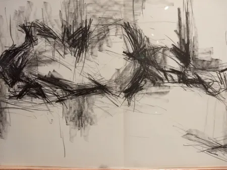 Иллюстрированная Книга Fromanger - DLM 150