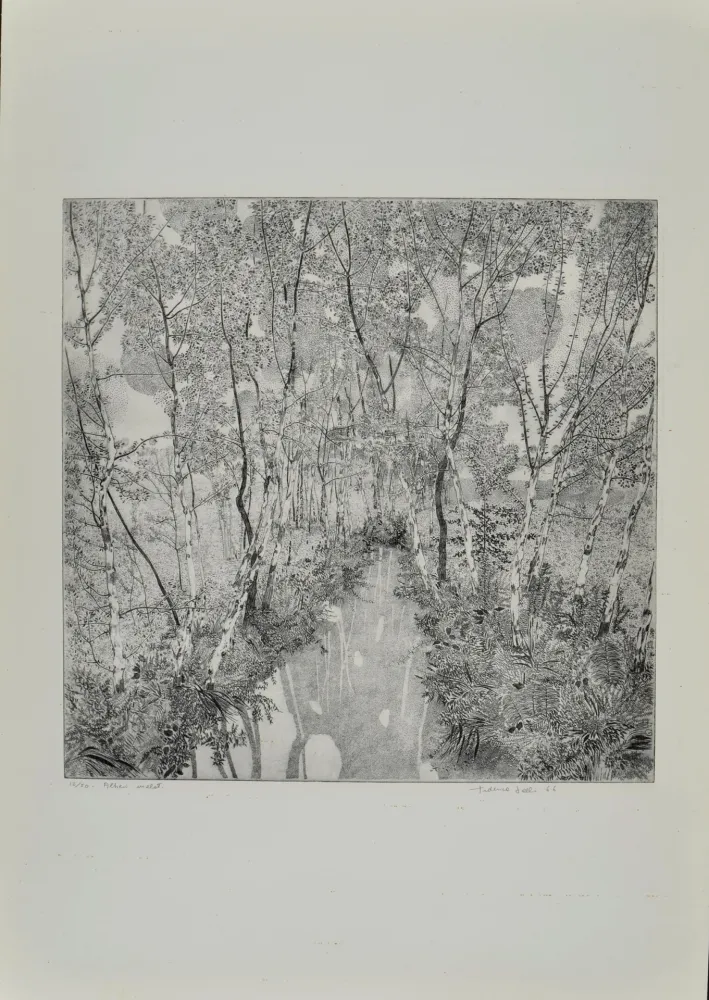 Офорт Galli - Alberi malati