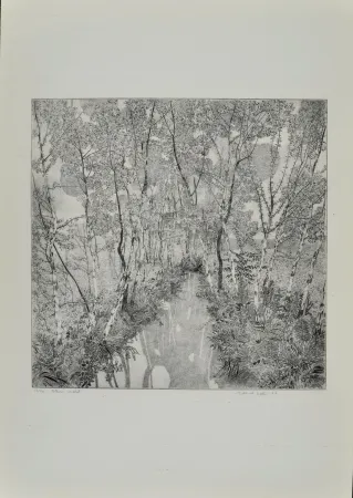 Офорт Galli - Alberi malati