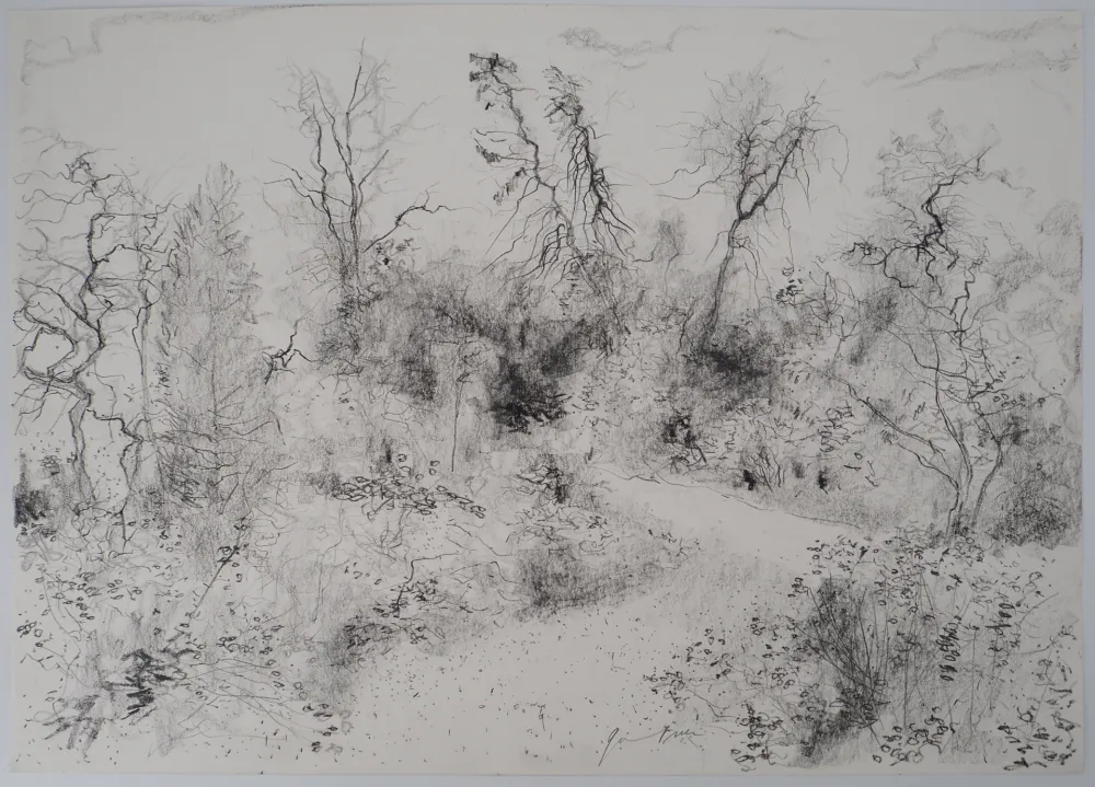 Нет Никаких Технических Gantner - Jardin au printemps, 