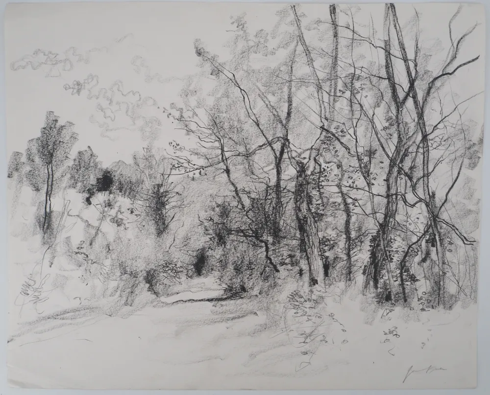 Нет Никаких Технических Gantner - Route de campagne