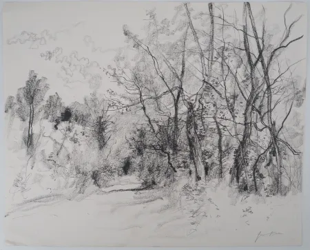 Нет Никаких Технических Gantner - Route de campagne