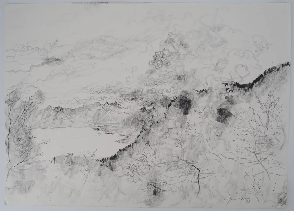 Нет Никаких Технических Gantner - Suisse, Nuages sur le Lac Leman