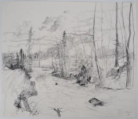 Нет Никаких Технических Gantner - Torrent dans les Vosges