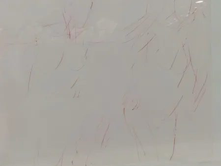 Литография Garache - 2 personates v