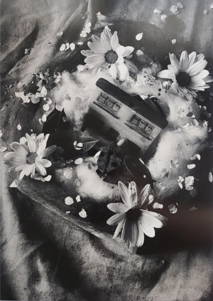 Фотографии Garduño - 