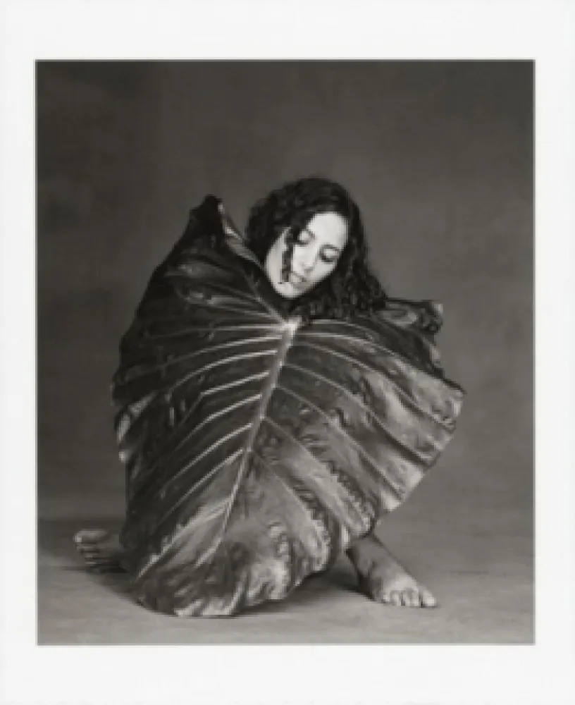 Фотографии Garduño - Corazón