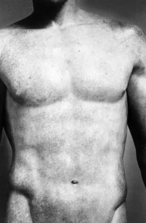 Многоэкземплярное Произведение Gibson - Torso (from Chiaroscuro)