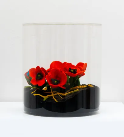 Многоэкземплярное Произведение Gilardi - Papaveri