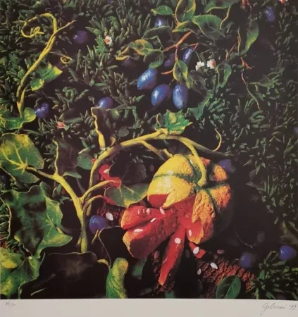 Сериграфия Gilardi - Prugne con zucca