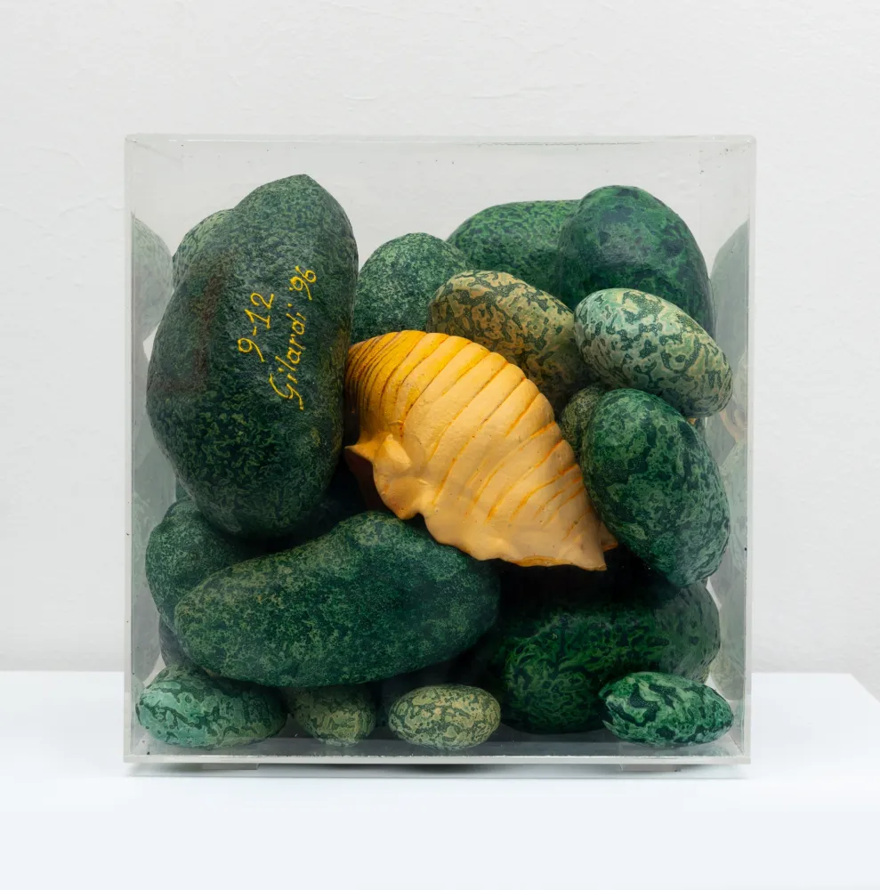 Многоэкземплярное Произведение Gilardi - Sassi e conchiglia