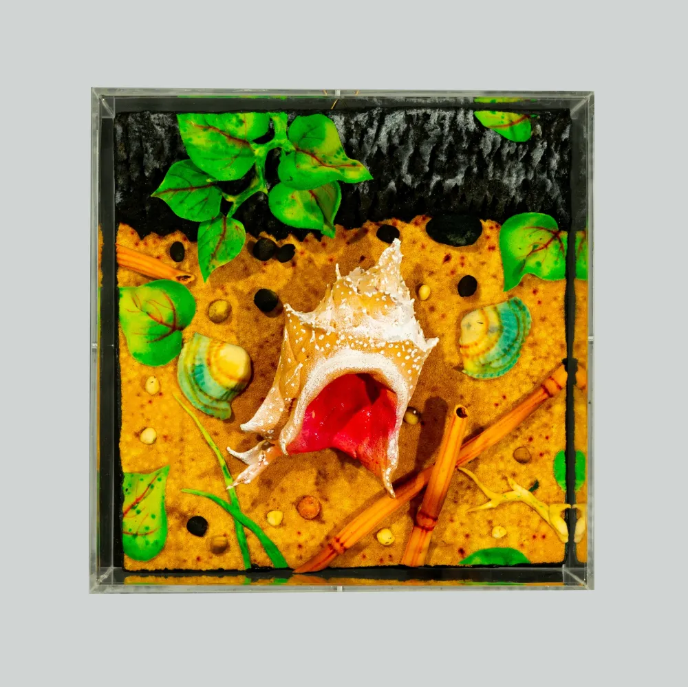 Нет Никаких Технических Gilardi - Spiaggia vulcanica