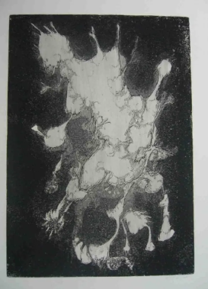 Офорт Gillet - Nymphe des rats