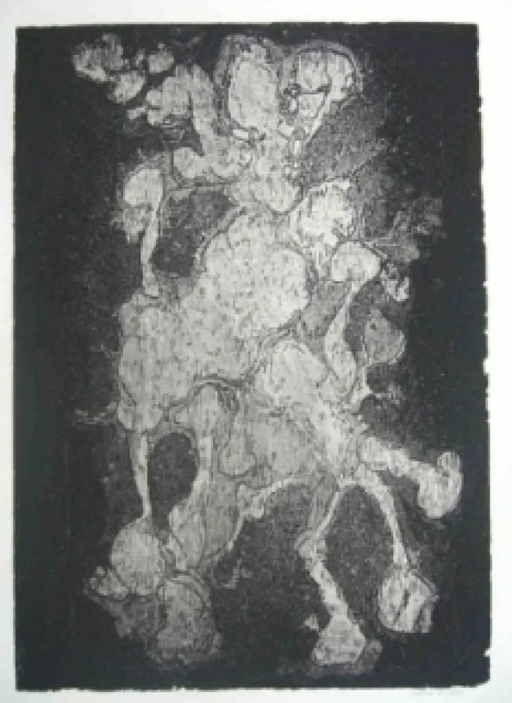 Офорт Gillet - Nymphe des rats