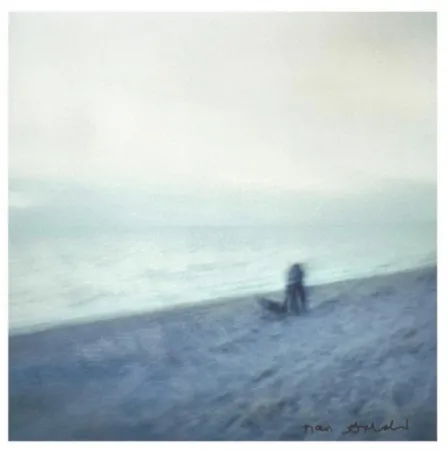 Многоэкземплярное Произведение Goldin - Memory Lost Sirens