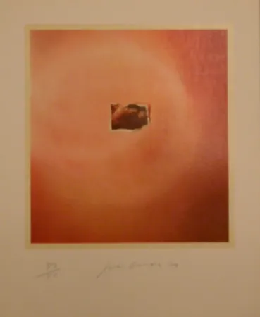 Литография Goode - Six Lithographs (creased photo on orange background)